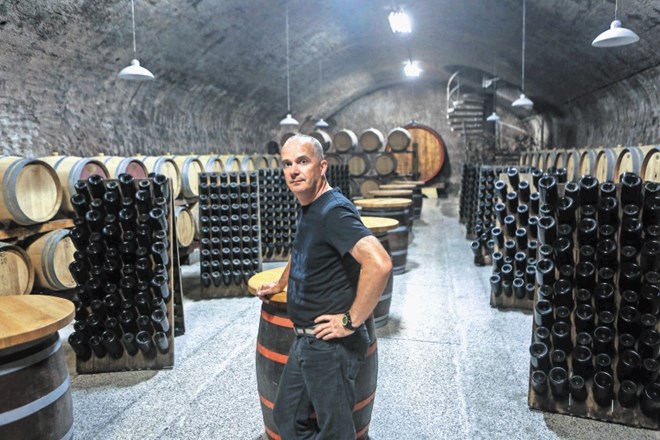 Darinko Ribolica, glavni enolog v vinski kleti Goriška brda: Slovenija kot vinska destinacija v svetu ne obstaja 