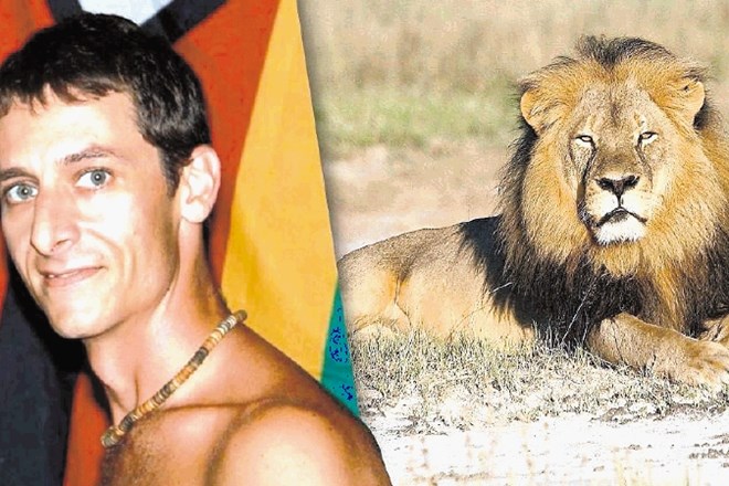 Izkušenega vodiča, 40-letnega Quinna Swalesa, je ubil lev Nxala, ki so ga raziskovalci življenja v afriški divjini spremljali...