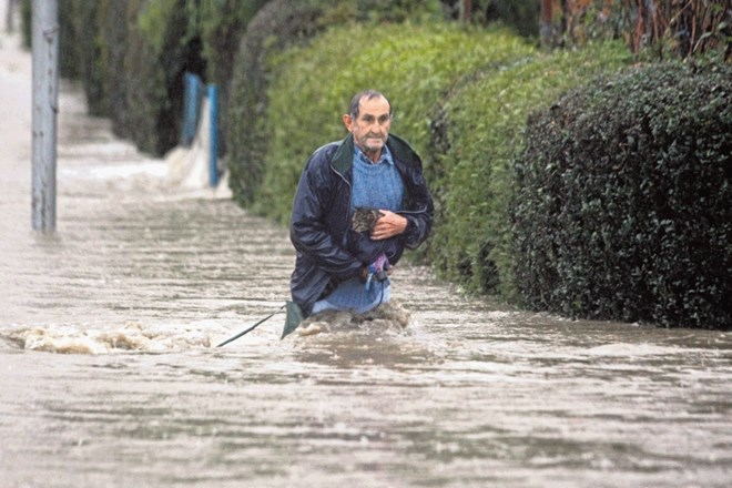 Ta znamenita fotografija našega fotoreporterja je nastala v Dogošah ob Dravi med novembrskimi poplavami pred tremi leti. Zdaj...