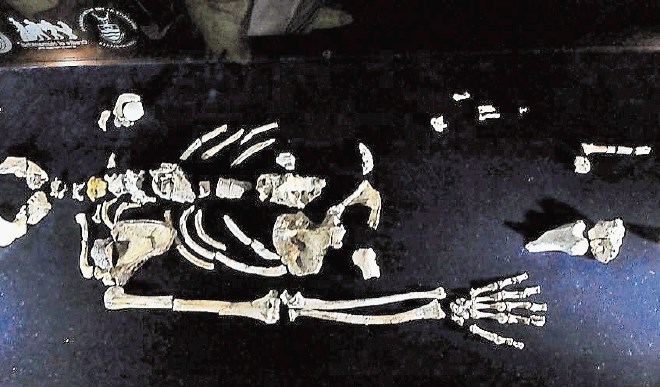 Človeški skelet v jami blizu Johannesburga 