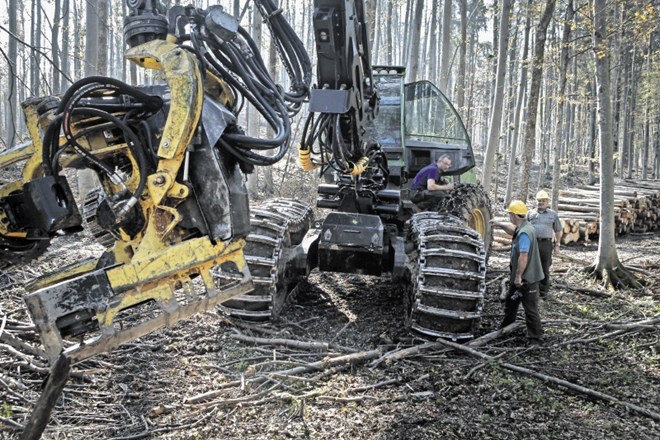 Gozdarski strokovnjaki svarijo pred kolapsom zaradi ustanavljanja novega državnega podjetja. Bojijo se, da bodo 1. julija...