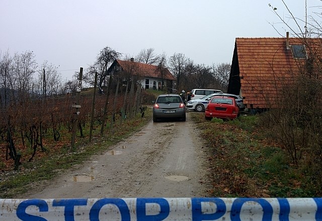 Ker je pokojni Franc Ribič trdil, da poseduje tudi bombe, so  policisti včeraj podrobno prečesavali njegovo domačijo v...