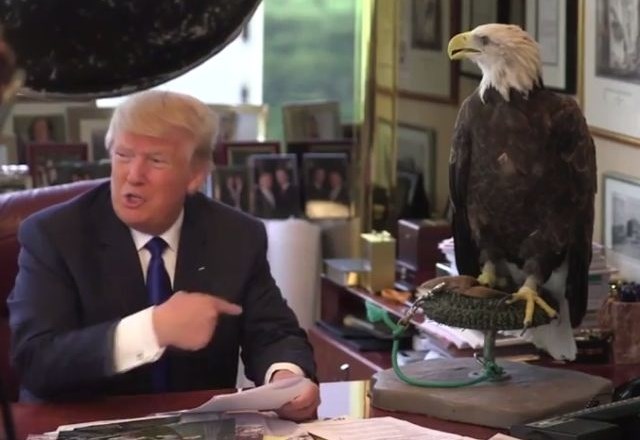 Donald Trump se med slikanjem naslovnice za revijo Time ni najbolje razumel z orlom, je pa toliko bolj priljubljen pri...