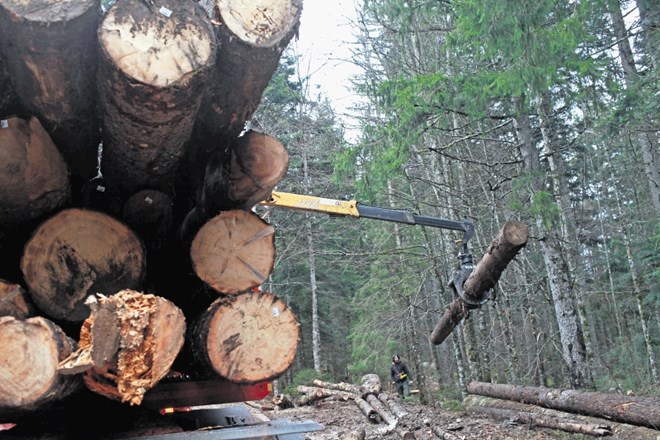 Radovljičani bi z lesnopredelovalnim obratom poskrbeli, da bi kakovosten gorenjski les ostal v državi. 