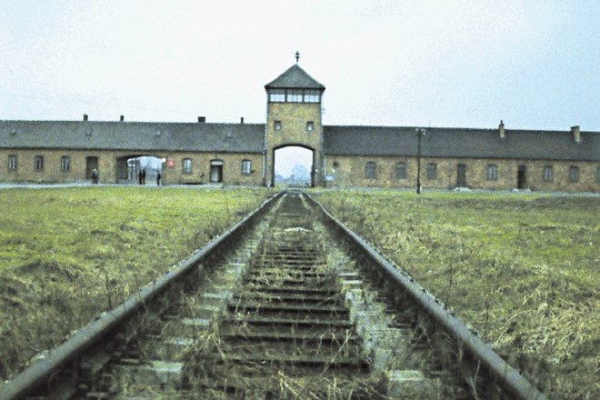 Auschwitz 