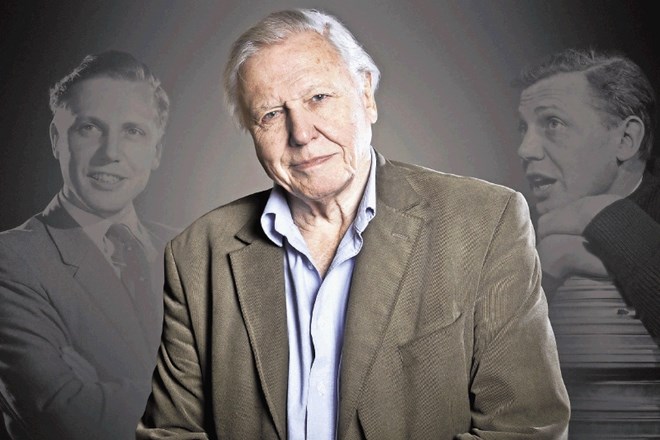 Davida Attenborougha so v službo na BBC sprejeli z opombo, da ni za intervjuje pred kamero, ker ima prevelike zobe. 