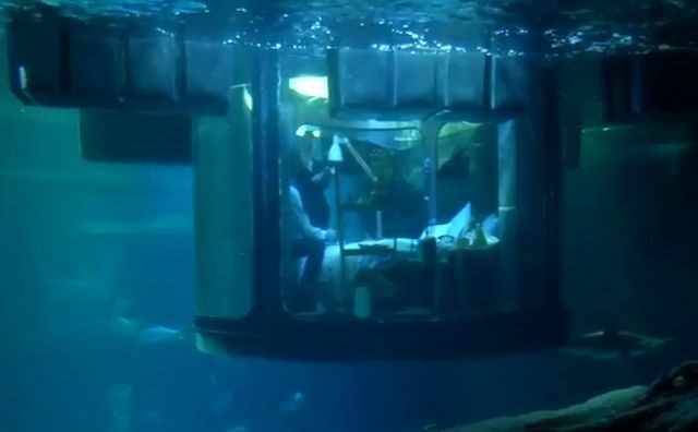 Soba, v kateri bodo prespali gostje, je deset metrov pod gladino vode, srečnim izbrancem pa bo družbo delalo 35 morskih psov....