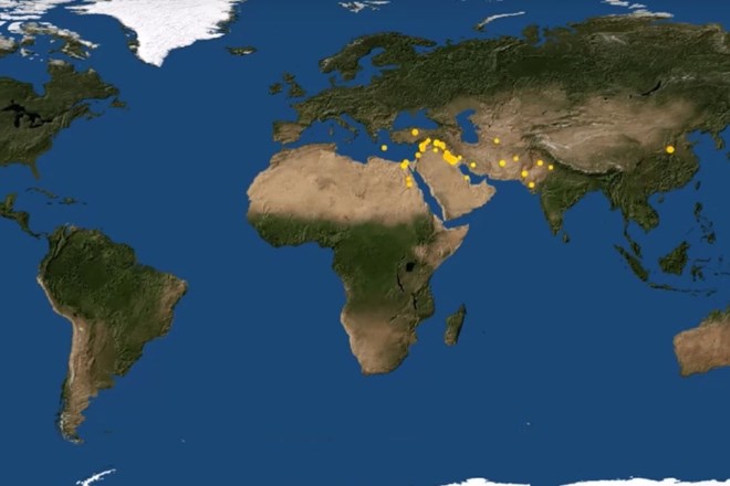 6000 let urbanizacije v treh minutah