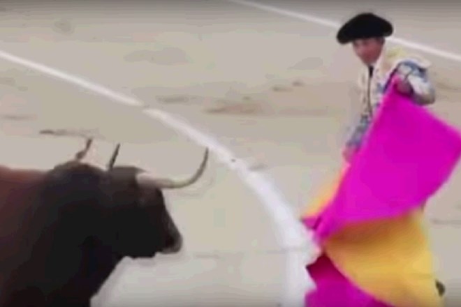 Po tridesetih letih umrl matador, letno umre 250.000 bikov
