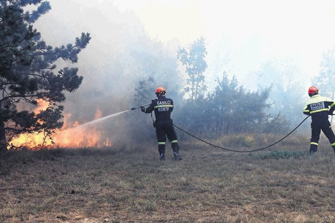 S požari nad  Kraškim robom se je spopadalo okoli 130 gasilcev. Takole je bilo blizu vasi Črnotiči.