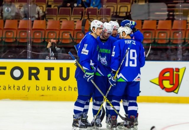Slovenska reprezentanca igra proti Belorusiji (Foto: Drago Cvetanovič)
