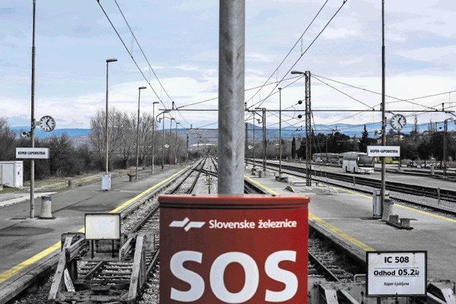 Slovenske železnice so ideji o logističnem holdingu naklonjene, saj je generalni direktor SŽ Dušan Mes eden od pobudnikov,...