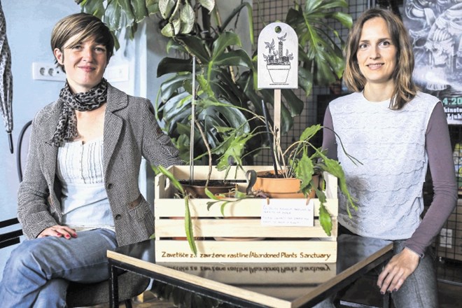 Mladi umetnici Anamari Hrup in Eva Jera Hanžek, ki sta pred dobrim letom začeli projekt Zavetišče za zavržene rastline, bosta...
