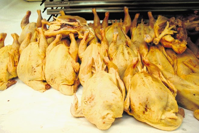 Veliko večino piščancev  v Sloveniji zakoljejo po halal standardih. Fotografija je simbolična.