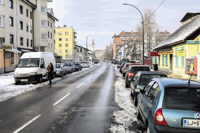 Prušnikova ulica je razvejana in s svojimi stranskimi kraki zajema precejšen del Šentvida nad Ljubljano.