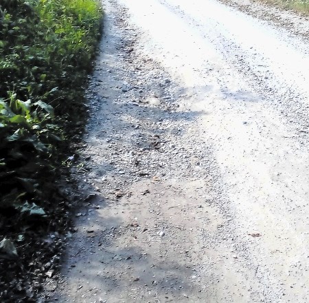 Lokalna cesta  Slap–Litija je hudo zdelana.