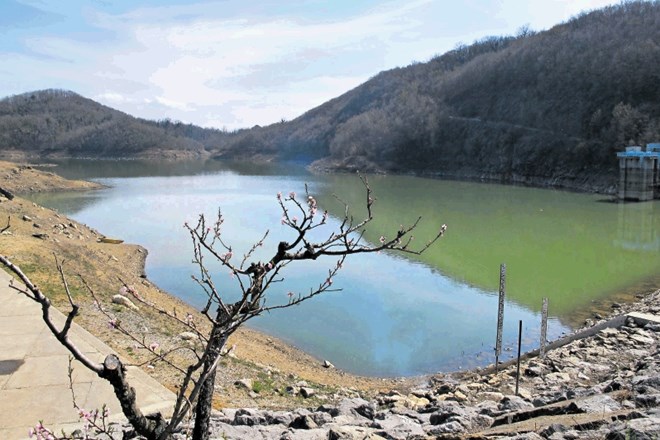 Z vodo iz zadrževalnika Vogršček  naj bi namakali kar 3500 hektarov kmetijskih površin v spodnjem delu Vipavske doline,...