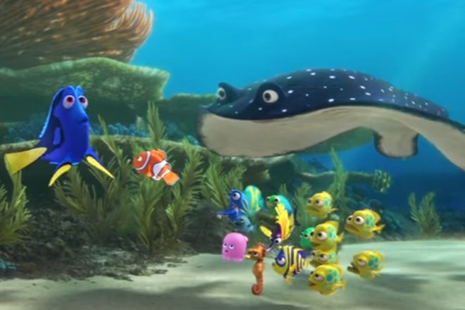 Poleg zlate ribice je ena od najbolj znanih ribic s statusom pozabljivke Dory iz animiranega filma Iskanje malega Nema, ki ji...