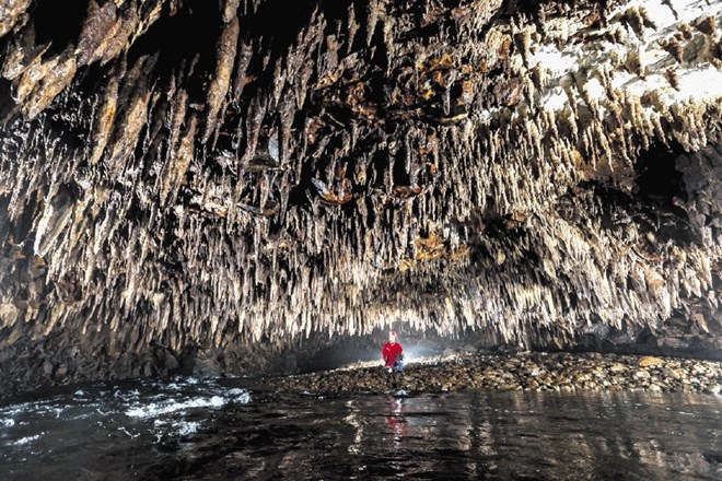 Magdalena jama (na fotografiji) je odslej tudi uradno povezana s Pivko jamo. Odkrit postojnski jamski sistem skupno obsega že...