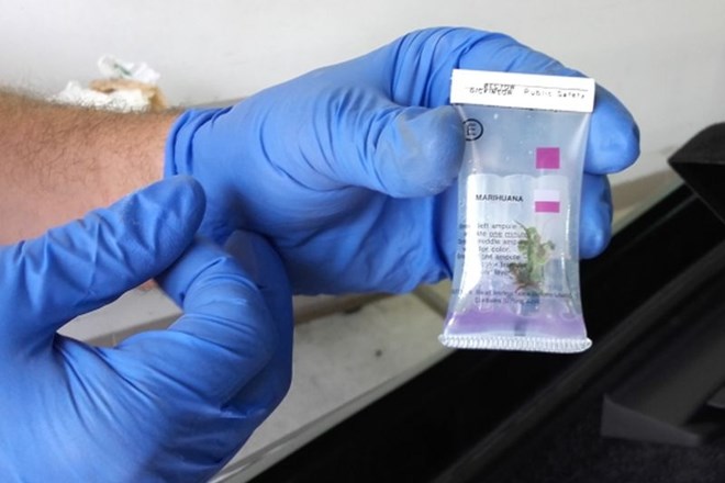 Na mejnem prehodu Gruškovje odkrili skoraj 10 kilogramov marihuane