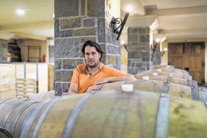 Matej Korenika vsako leto pridela približno sto tisoč litrov vina.
