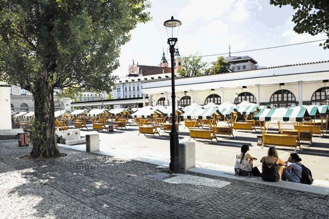 Dolga stoletja je bil Pogačarjev trg del drevoreda, ki so ga ob Ljubljanici zasadili v času Ilirskih provinc.