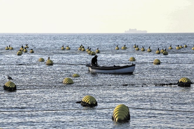 Po nekaterih informacijah naj bi zdaj, po odločitvi arbitražnega sodišča, hrvaški ribič že opustil postavitev školjčišča.