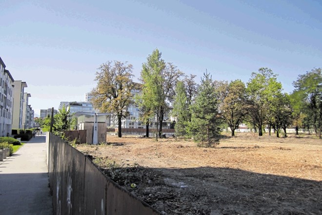 Gradbišče na Bežigrajskem dvoru bo še naprej ostalo ograjeno z gradbeno ograjo. Ministrstvo je zemljišče le dalo očistiti.