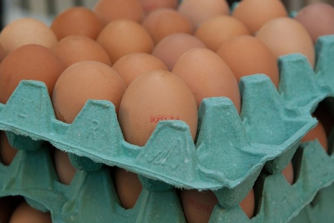 Po zahodni Evropi policijske racije zaradi afere z jajci; odkrili so jih tudi v Romuniji