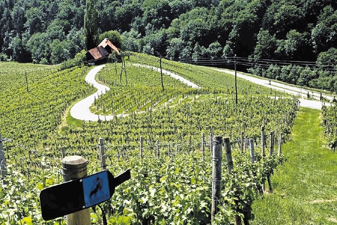 Francozi so fotografijo s fotomontažo priredili tako, da so tipični slovenski vinogradniški hiši naredili alzaško fasado, v...