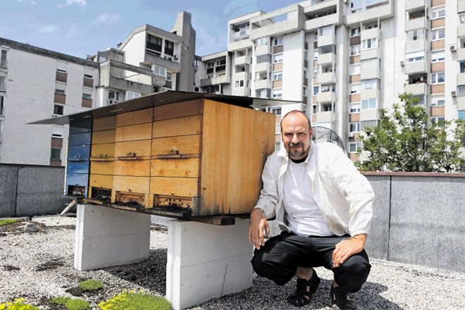 Gorazd Trušnovec, predsednik društva Urbani čebelar v Ljubljani