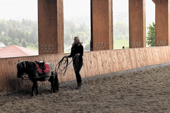 V Mladinskem klimatskem zdravilišču Rakitna otrokom pomagajo trije terapevtski konji: desetletni Laurens, osemletna Suzy in...