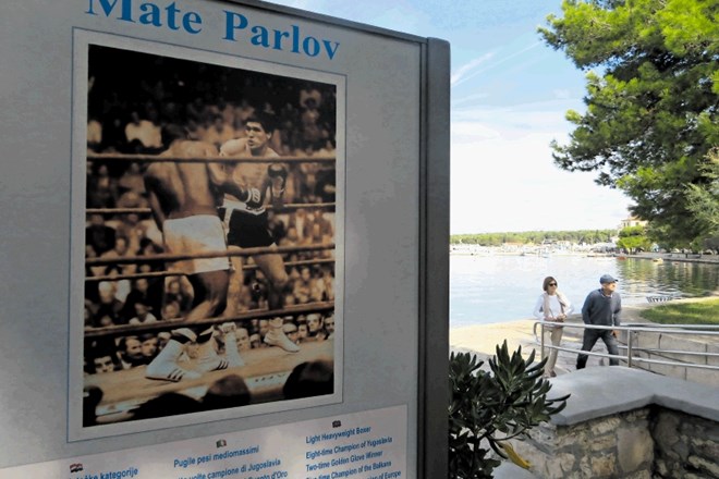 Mate Parlov je v svoji boksarski karieri osvojil vse možne amaterske in profesionalne naslove.