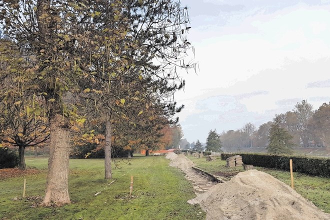 Hkrati z obnovo pešpoti in gradnjo kolesarske steze tik ob Partizanski cesti v mestnem parku bodo namesto stotih divjih...