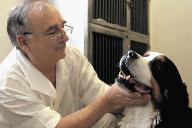Pred pregledom pri veterinarju psa ne hranite, preden z njim vstopite v čakalnico, pa preverite, koliko psov in mačk je že  v...