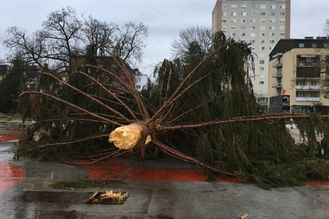 Močan veter je v Velenju podrl novoletno jelko na Titovem trgu.