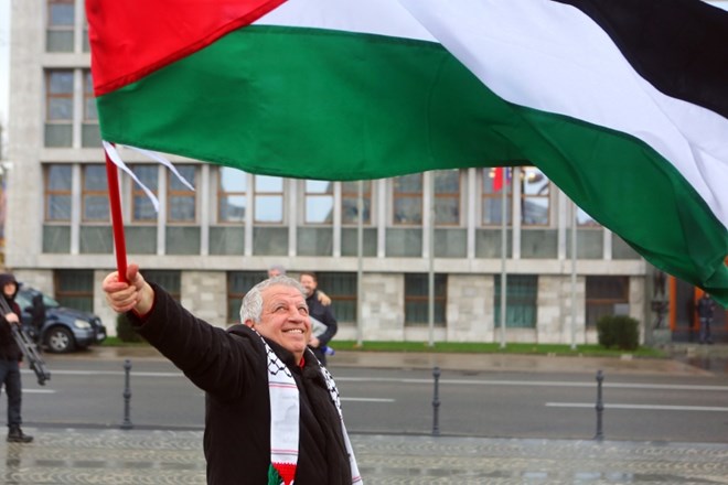 Shod civilno družbenih gibanj za priznanje Palestine kot neodvisne in suverene države pred Državnim zborom v Ljubljani leta...
