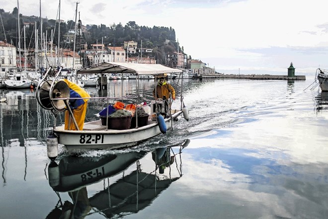 Tudi Hrvaška bi morala slovenskim ribičem podeliti podobne pravice  v hrvaškem teritorialnem morju do Limskega kanala. A...
