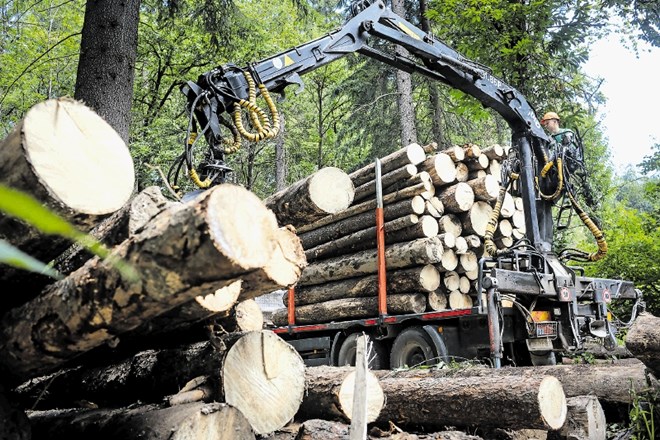Poleg pridobivanja hlodovine iz državnih gozdov je cilj Slolesa sklepanje dolgoročnih pogodb z lastniki zasebnih gozdov.