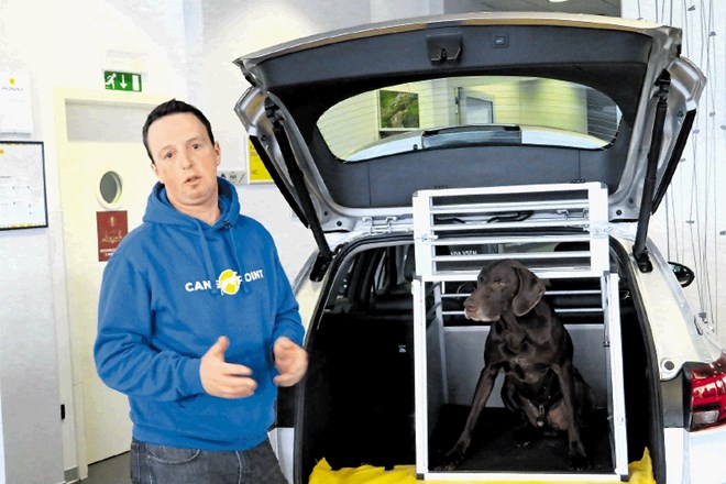 David Pogačnik opozarja na varno in udobno vožnjo tudi za psa.