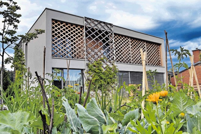 Preplet zasnove arhitekture s posodobljenimi detajli tradicionalnega stavbarstva in divje uporabnosti zelenjavnega vrta