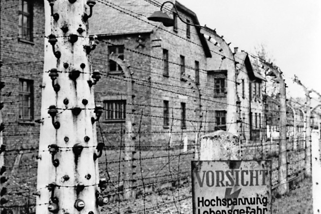 Taborišče Auschwitz. Kdor bi mu rekel »poljsko taborišče«, tvega zapor.