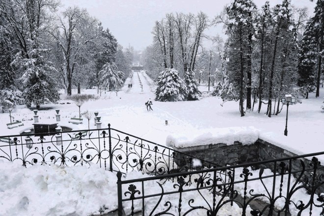 Od 1. februarja krajinski park Tivoli, Rožnik in Šišenski hrib upravlja podjetje Snaga.