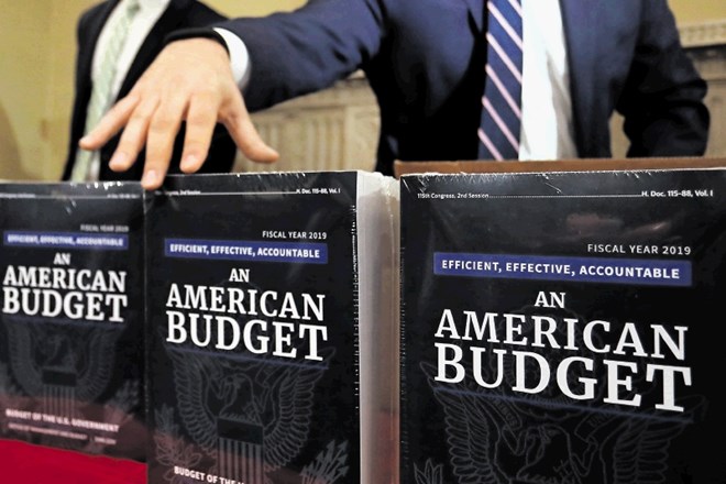 Verjetnost, da bo proračun   sprejet v predlagani  obliki, je res majhna.