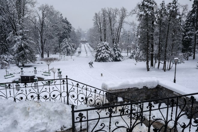 Letošnji sneg v Ljubljani