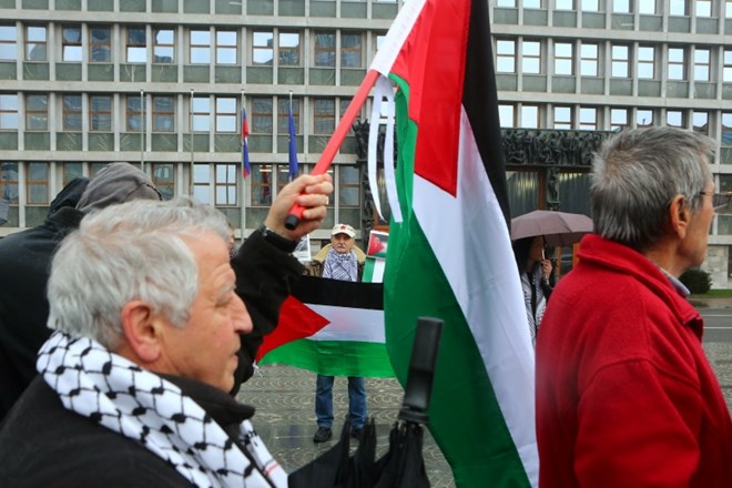 Shod civilno družbenih gibanj za priznanje Palestine kot neodvisne in suverene države pred Državnim zborom leta 2014.