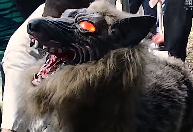 #video »Super pošastni volk« novi varuh kmetijskih pridelkov