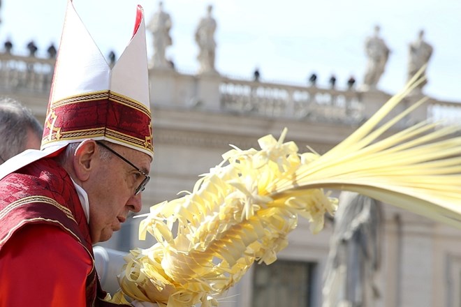 Papež je z mašo na cvetno nedeljo začel velikonočne slovesnosti