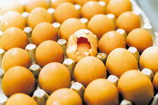 Jajca so del pestre in uravnotežene prehrane
