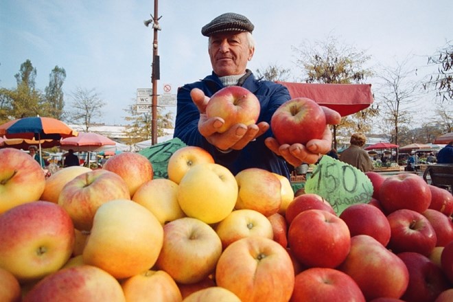 Lanski pridelek jabolk najmanjši v zadnjih 25 letih